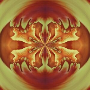 Grinder - Tulip Red & Yellow